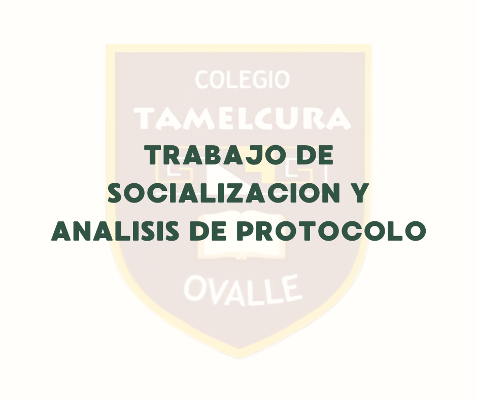 SOCIALIZACION Y ANALISIS DE PROTOCOLOS